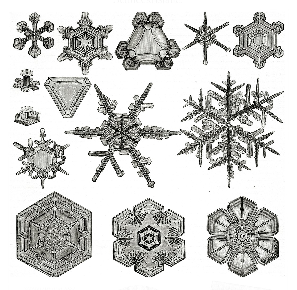 Diverse forme di fiocchi di neve da German School
