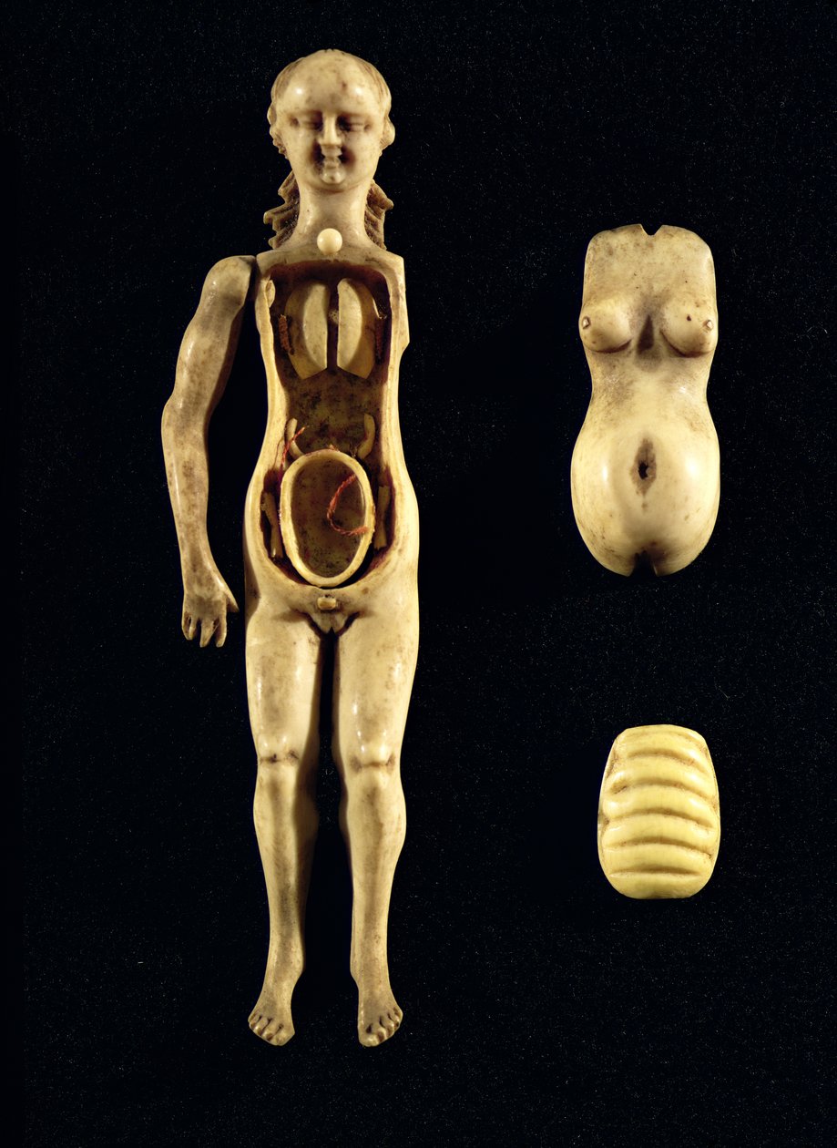 Bambola che mostra l