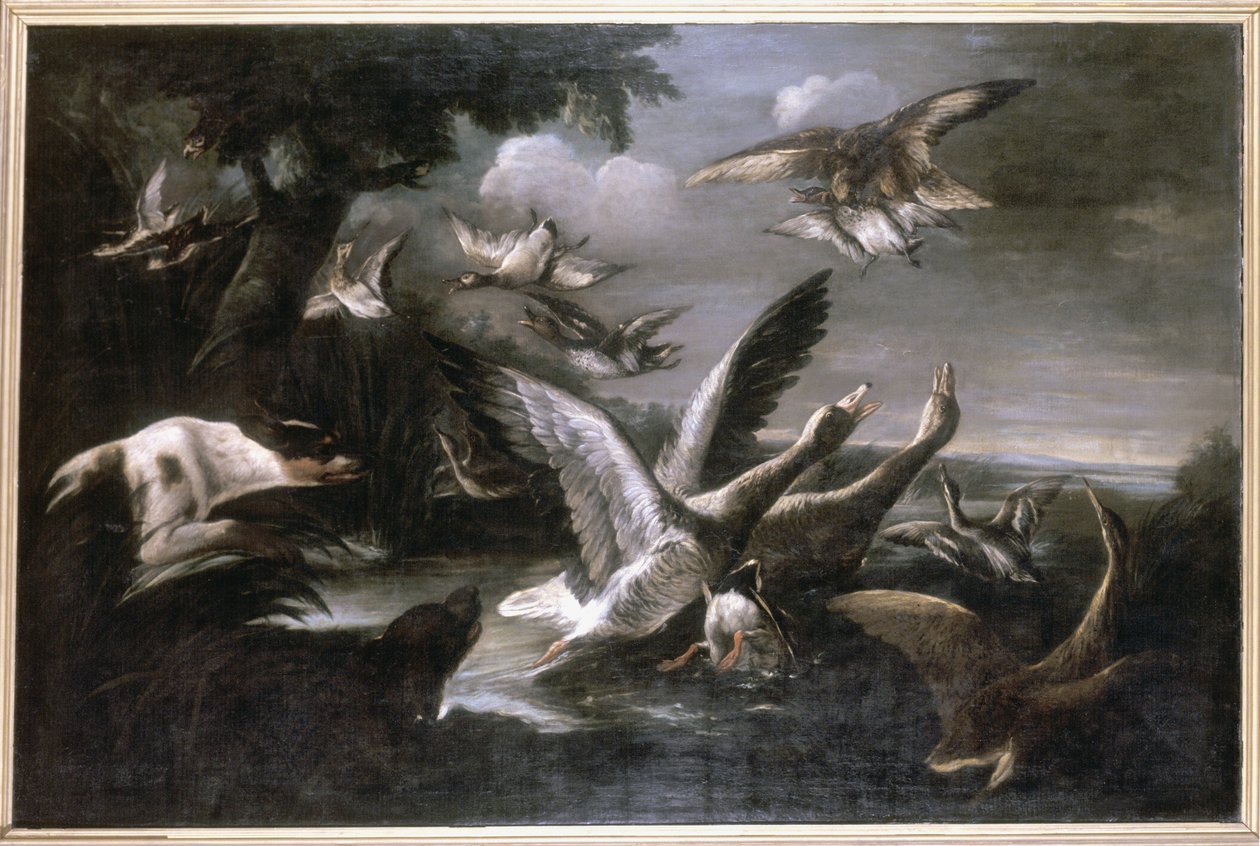 Aquila, oche selvatiche e cani da German School