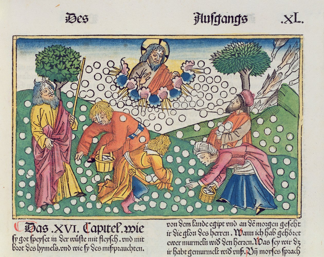 Esodo 16:13-22 Dio fornisce quaglie e manna agli Israeliti, dalla Bibbia di Norimberga (Biblia Sacra Germanaica) da German School