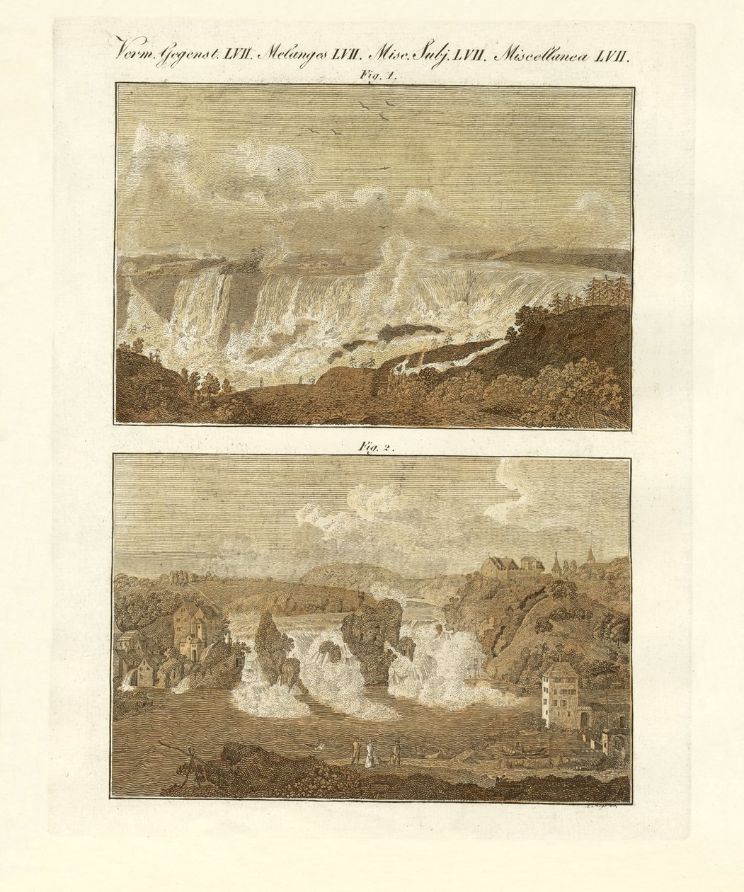 Cascate da German School