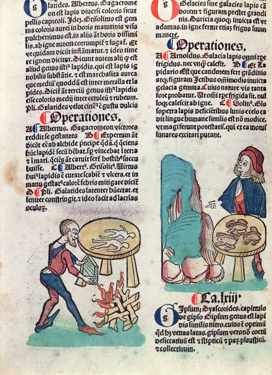Pagina illustrata da Hortus Sanitatis, 1491 da German School