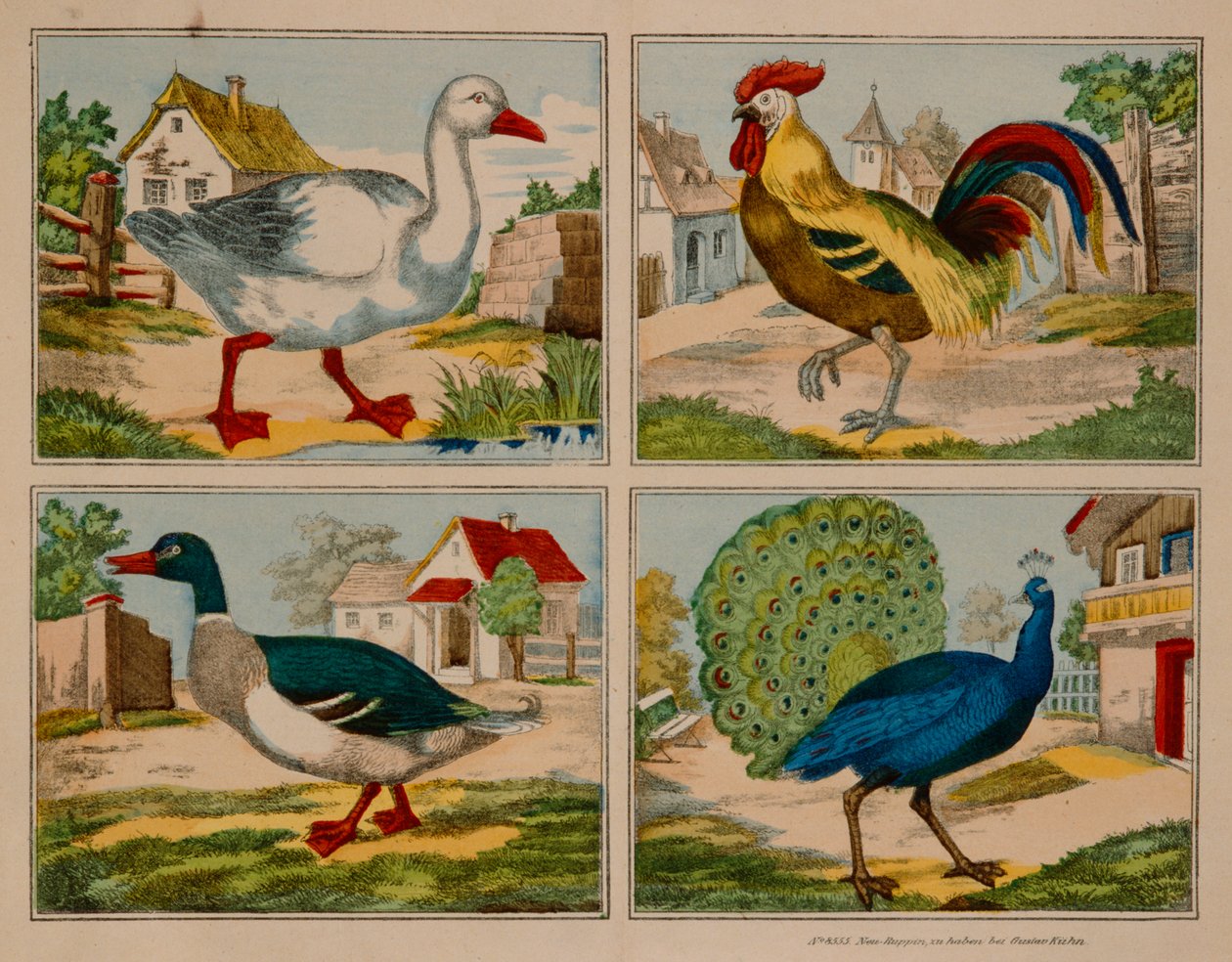 Illustrazione che mostra un