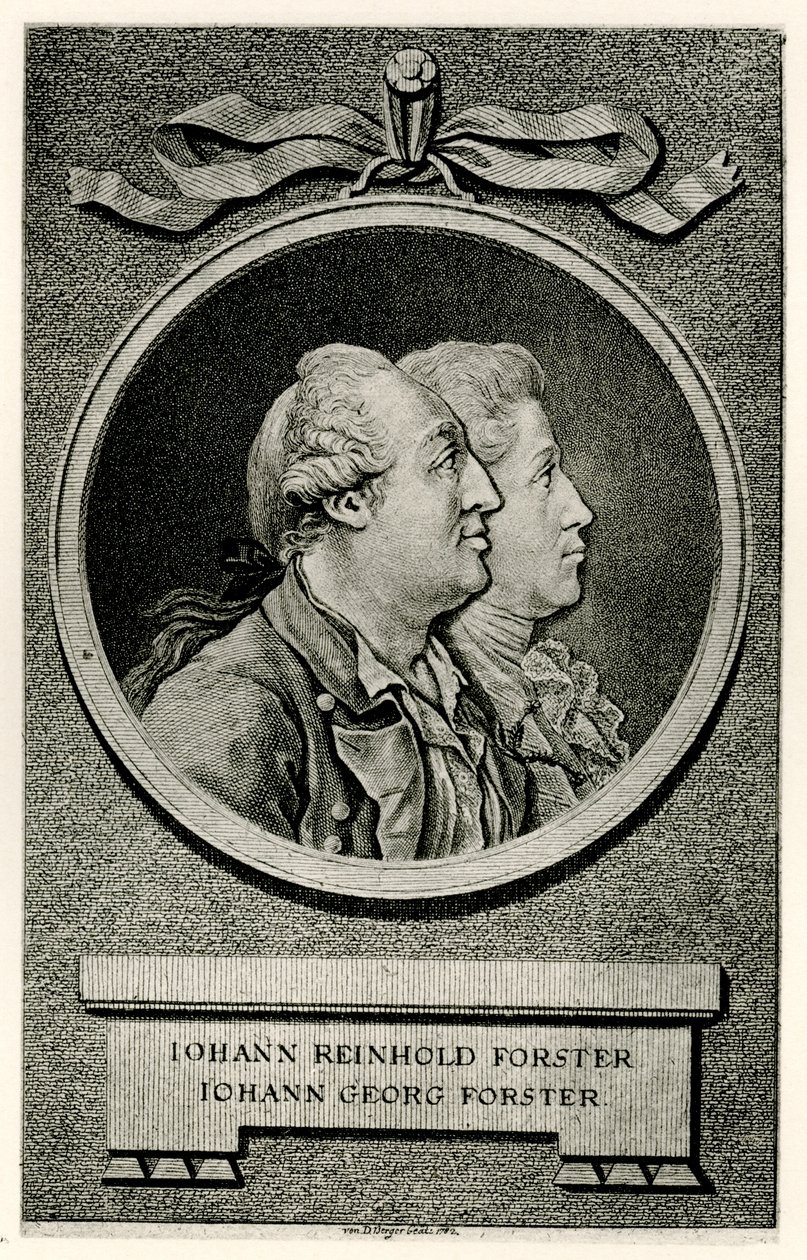 Johann Georg Forster da German School