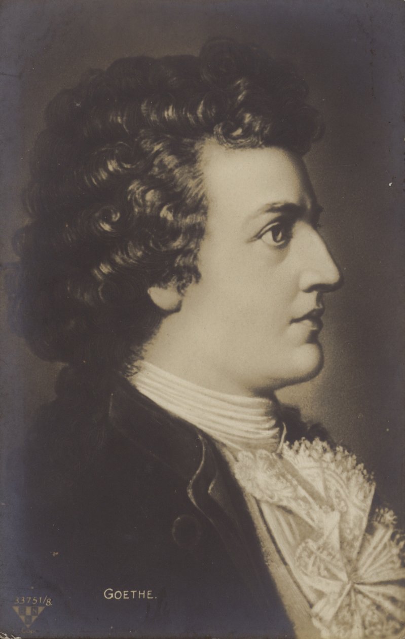 Johann Wolfgang von Goethe (1749-1832), poeta, romanziere e drammaturgo tedesco (litografia) da German School