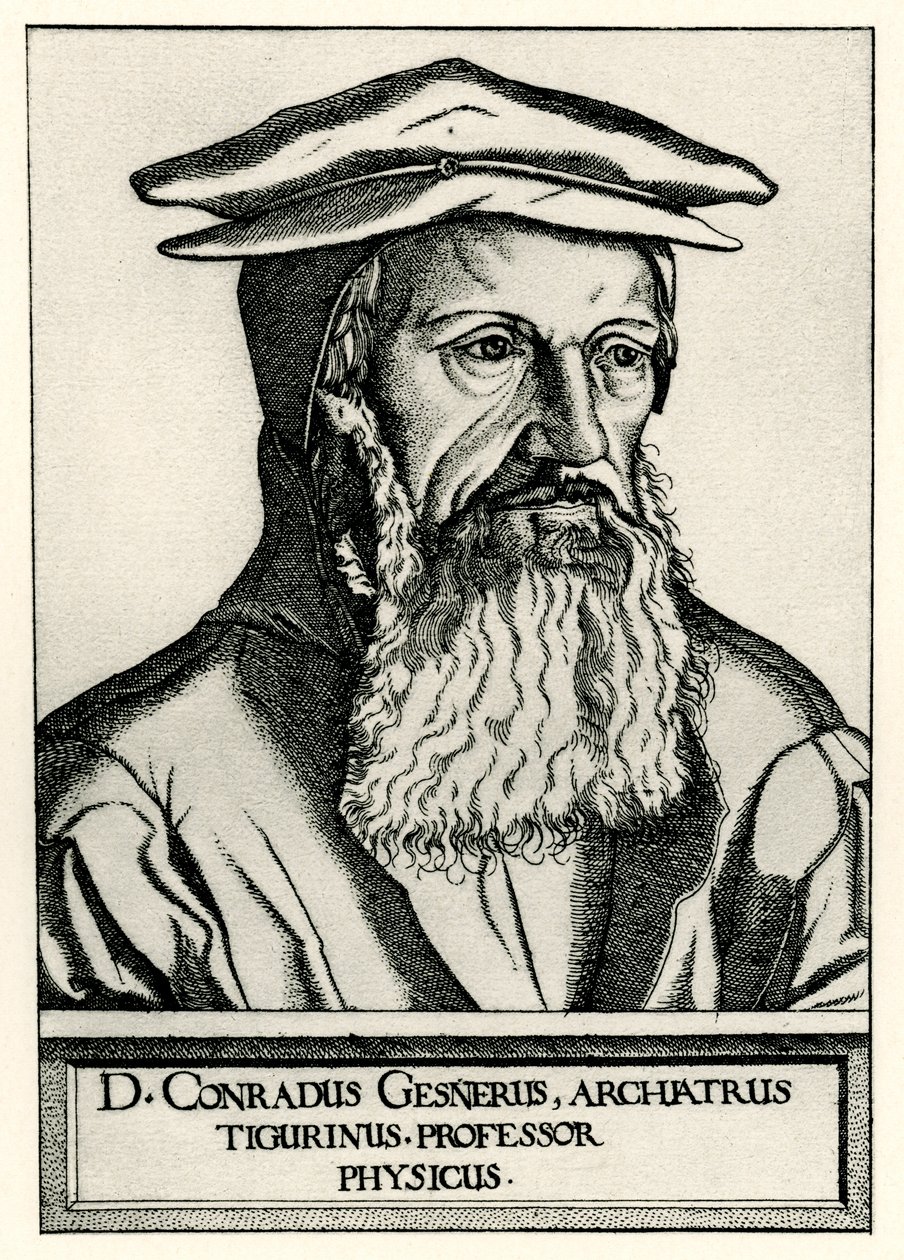 Conrad Gesner da German School