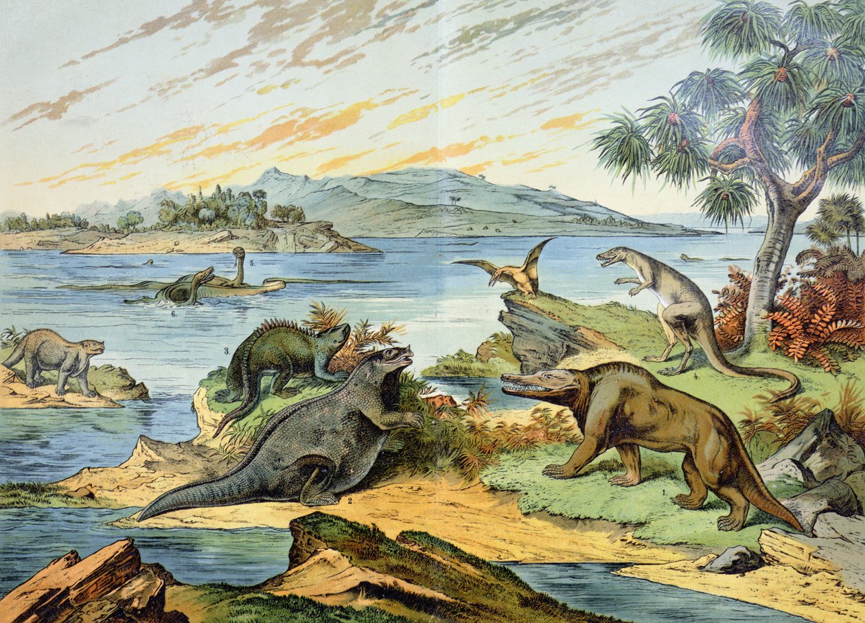 Paesaggio che raffigura il periodo Cretaceo (146 a 65 milioni di anni fa) illustrazione da Natural History of Mineralogy and Palaeontology di G.H. von Schubert, 1888 da German School