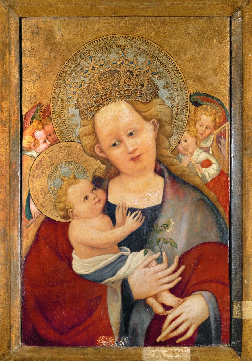 Madonna con fiore di pisello (tempera su tavola) da German School