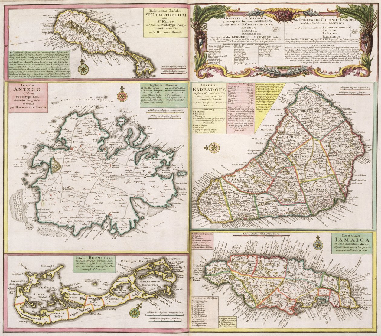 Mappa delle colonie inglesi nei Caraibi, pub. da Homanns Heirs, Norimberga, c.1750 da German School