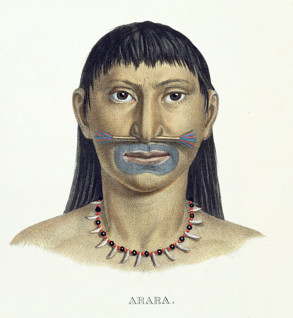 Uomo nativo della tribù Arara con pittura facciale blu, dall