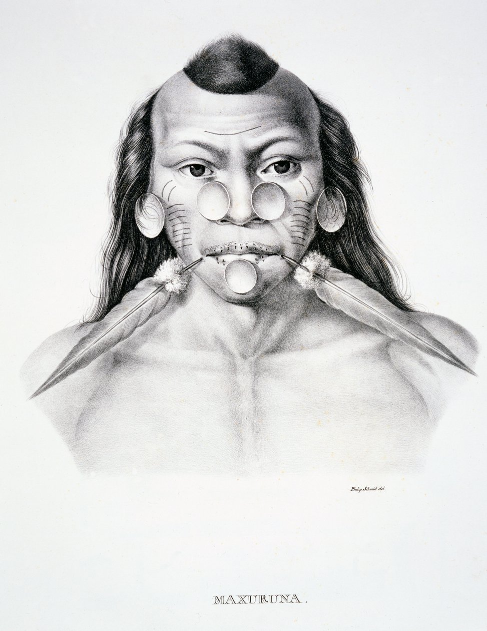 Uomo nativo della tribù Maxuruna, con decorazione facciale, da Atlas of a Journey in Brazil di Dr von Spix e Dr von Martius da German School