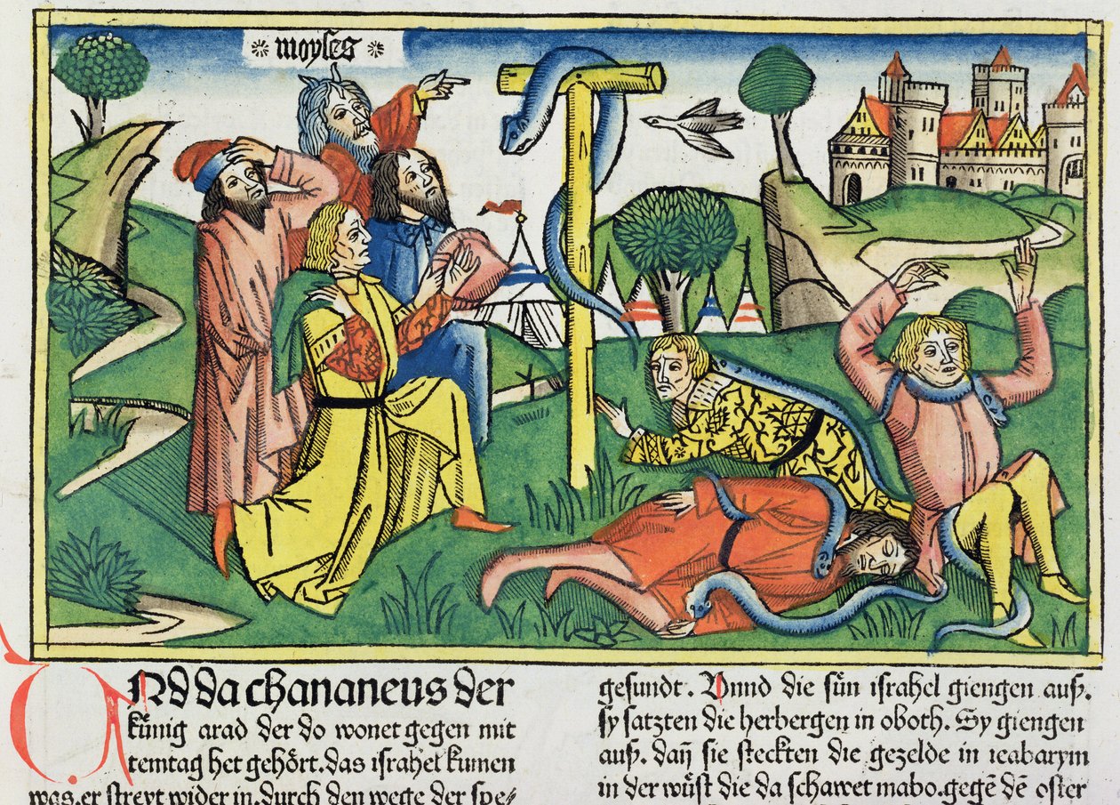 Numeri 21:4-9 Serpenti velenosi mordono gli Israeliti ribelli, dalla Bibbia di Norimberga (Biblia Sacra Germanaica) da German School