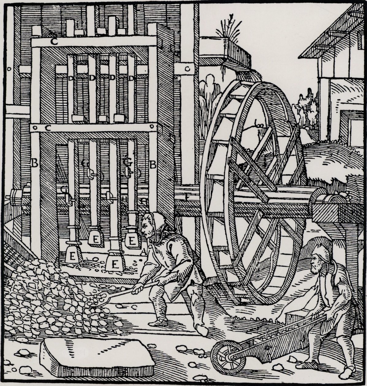 Ruota d