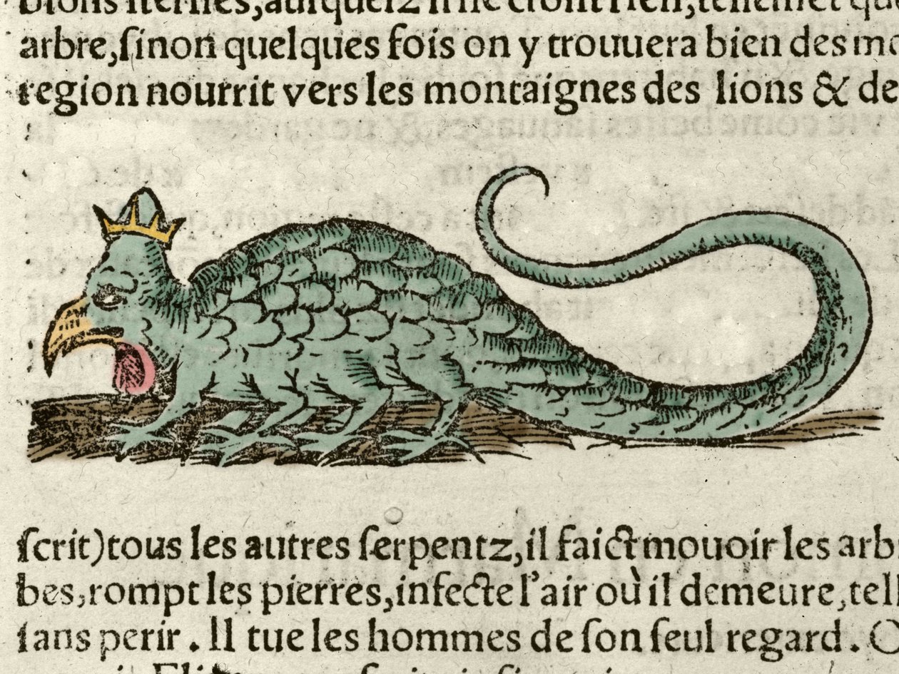 Rappresentazione del mostro mitologico Basilisco. Xilografia tratta dalla Cosmografia Universale di Sebastien Munster. Basilea da German School