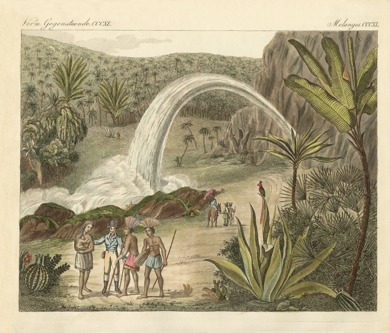 La fonte dell