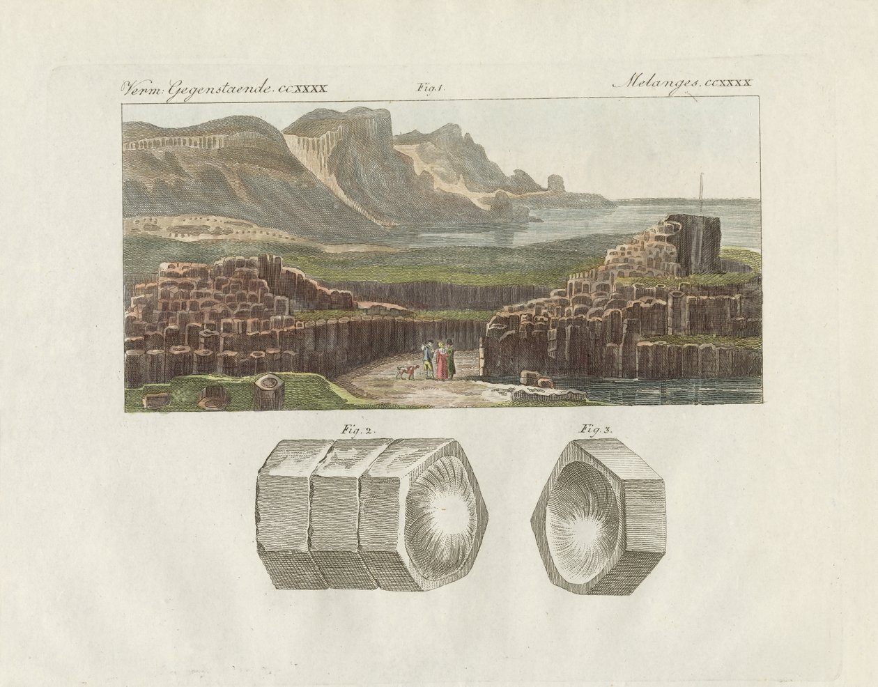 La strada del gigante da German School