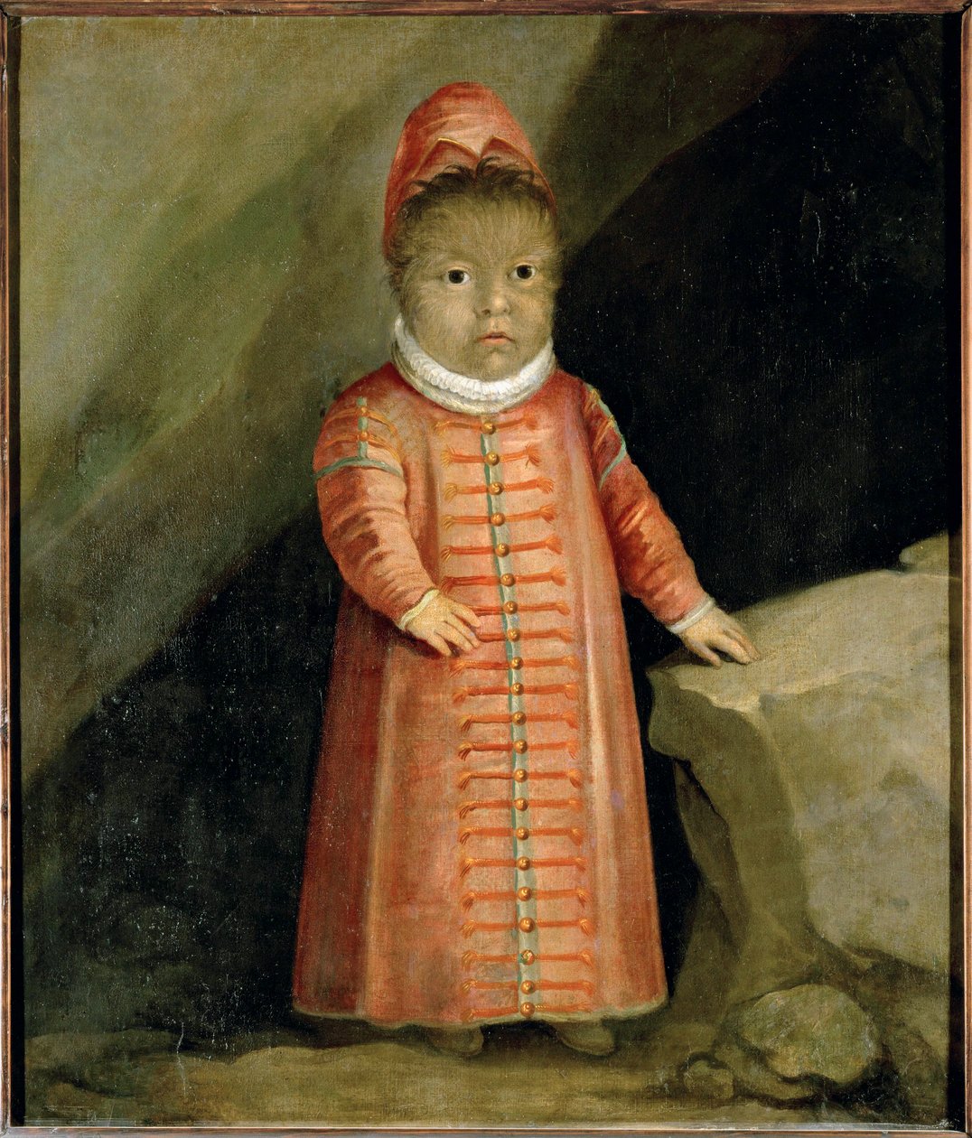 Il figlio di Petrus Gonzalvus fu esaminato nel 1596 ... da German School