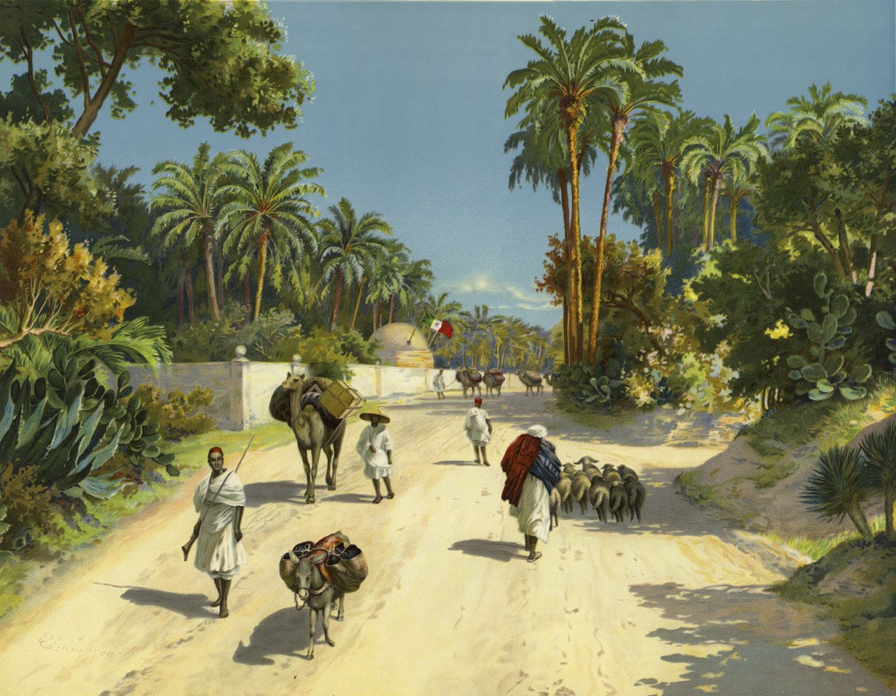 Tripoli, Libia, Africa (cromolito) da German School