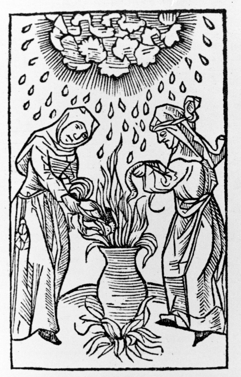 Due streghe che preparano una pozione, evocando una tempesta di grandine - incisione da "de lanijs et phitonicis mulieribus", Colonia da German School