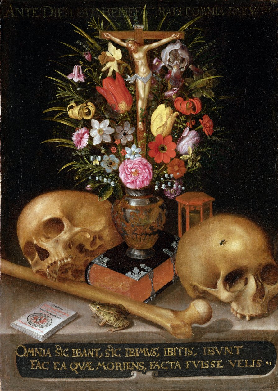 Vanitas Natura Morta da German School