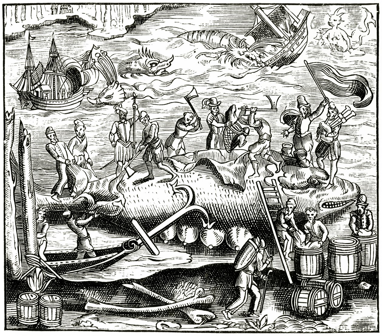 Pesca alla balena, da un