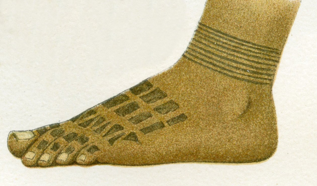 Esempio di disegni di tatuaggi sui piedi dei Dayak, Borneo, 1894 da German School