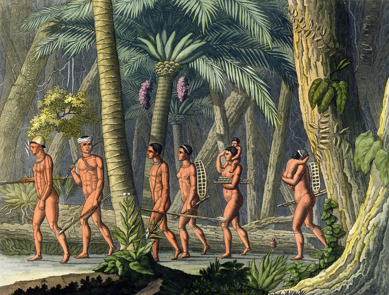 Indiani Puri nella loro Foresta, da 