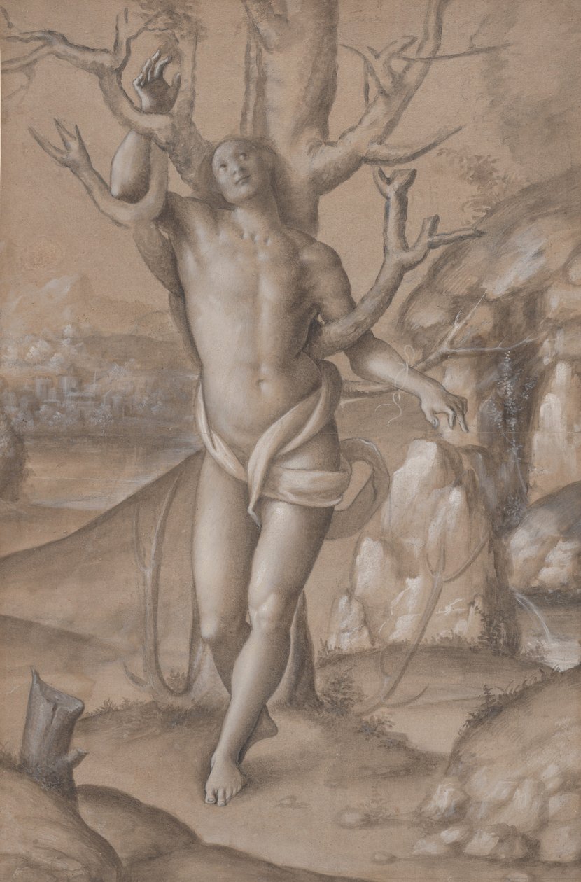 San Sebastiano, ca. 1524 da Gerolamo Giovenone