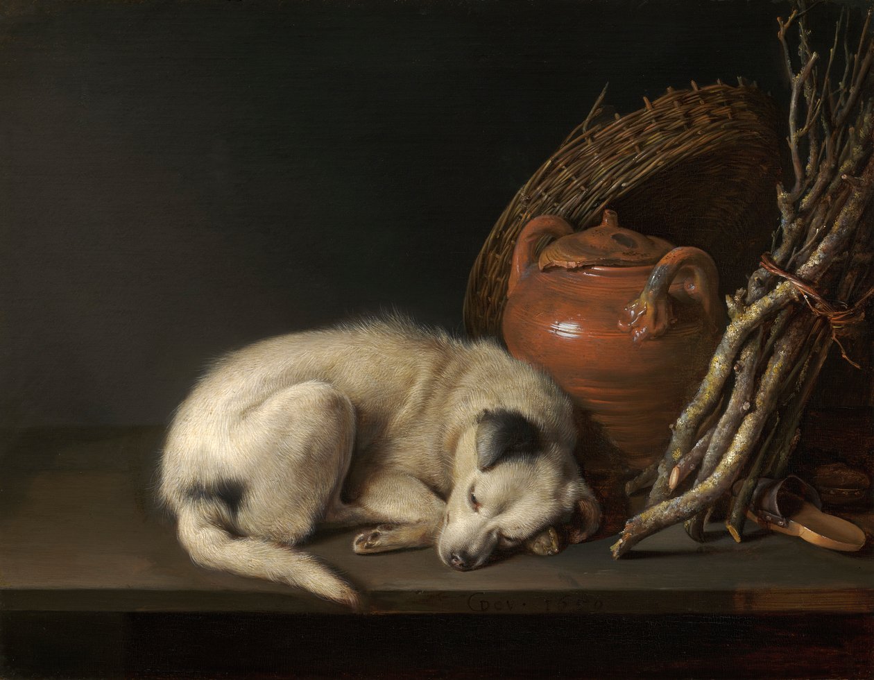 Un cane che dorme da Gerrit Dou