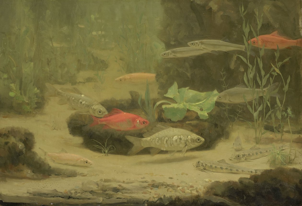  da Gerrit Willem Dijsselhof