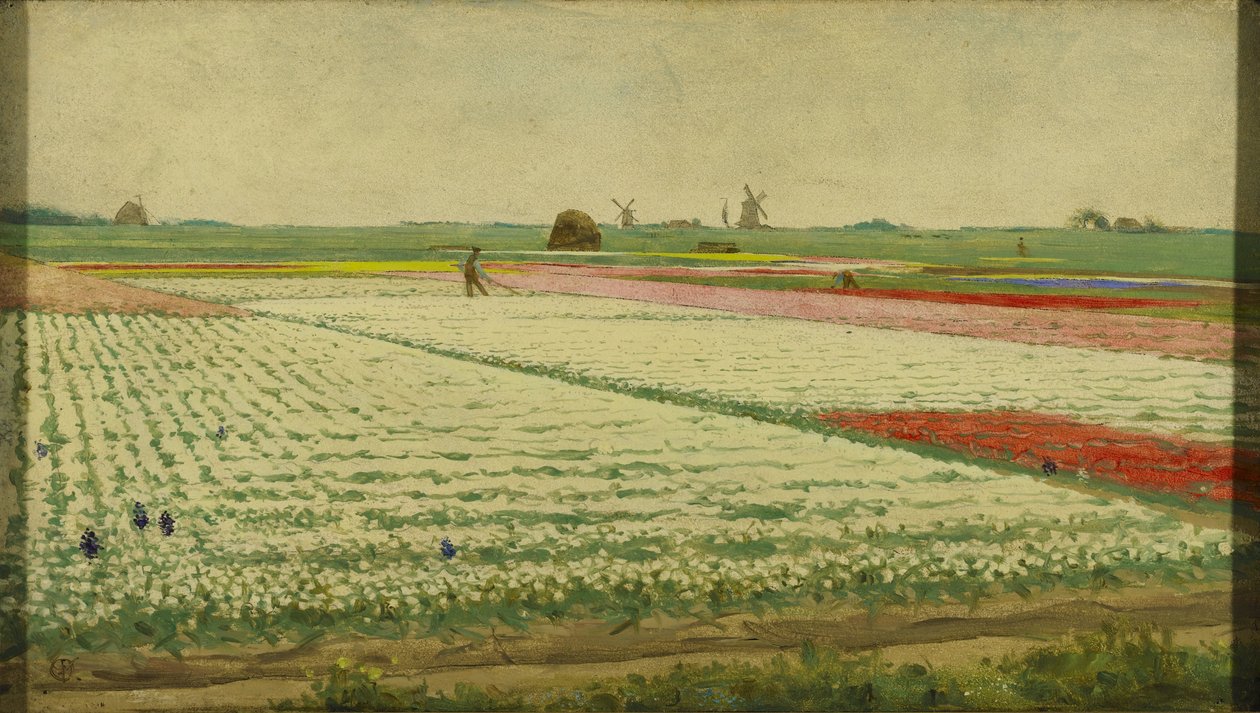 Campi di tulipani da Gerrit Willem Dijsselhof