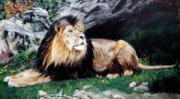 Un leone berbero o dell
