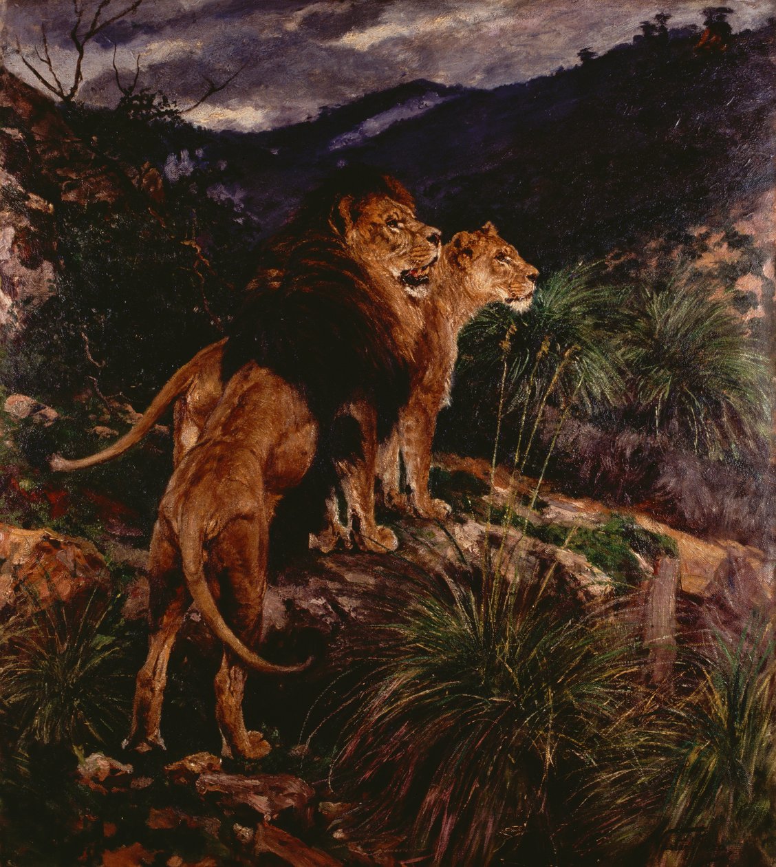 Leoni in Agguato da Geza Vastagh