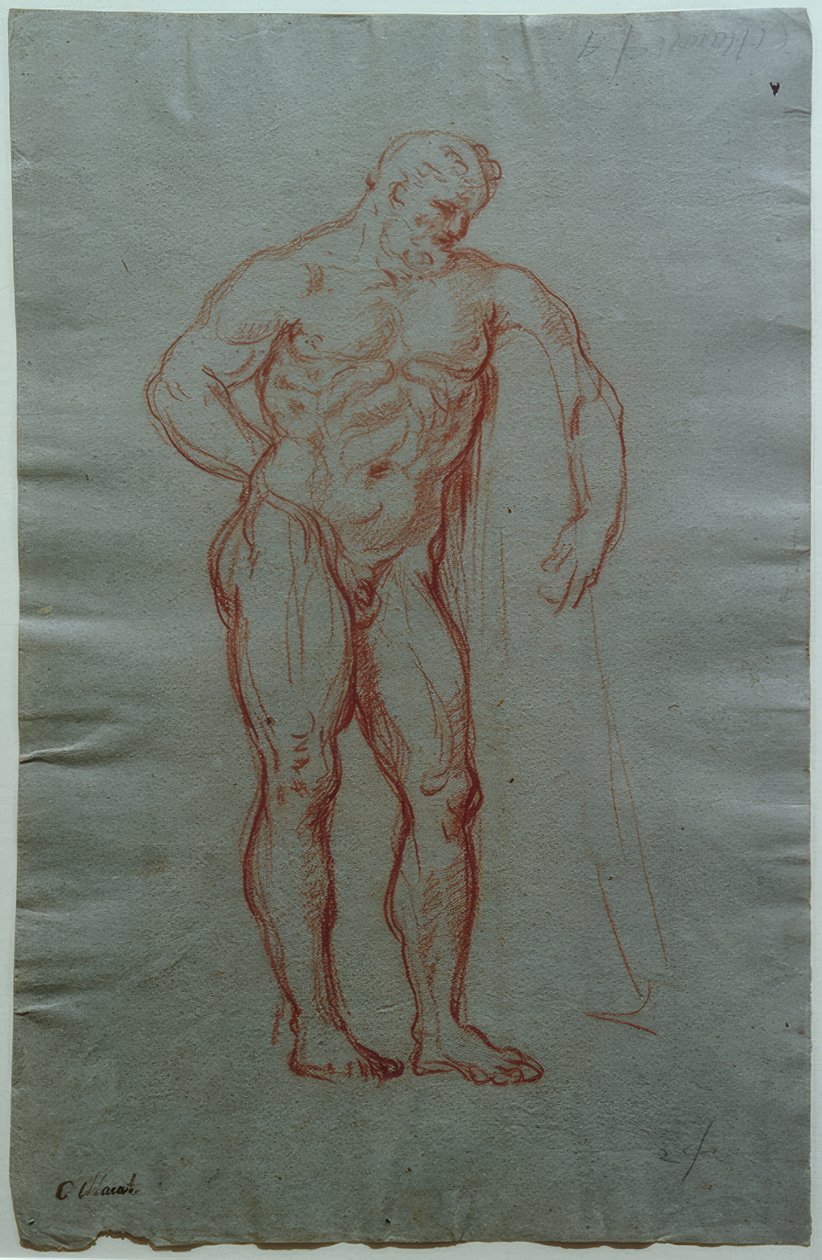Studio della figura dell