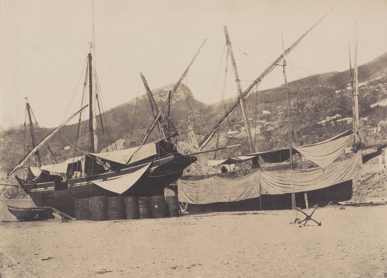 Salerne da Giacomo Caneva