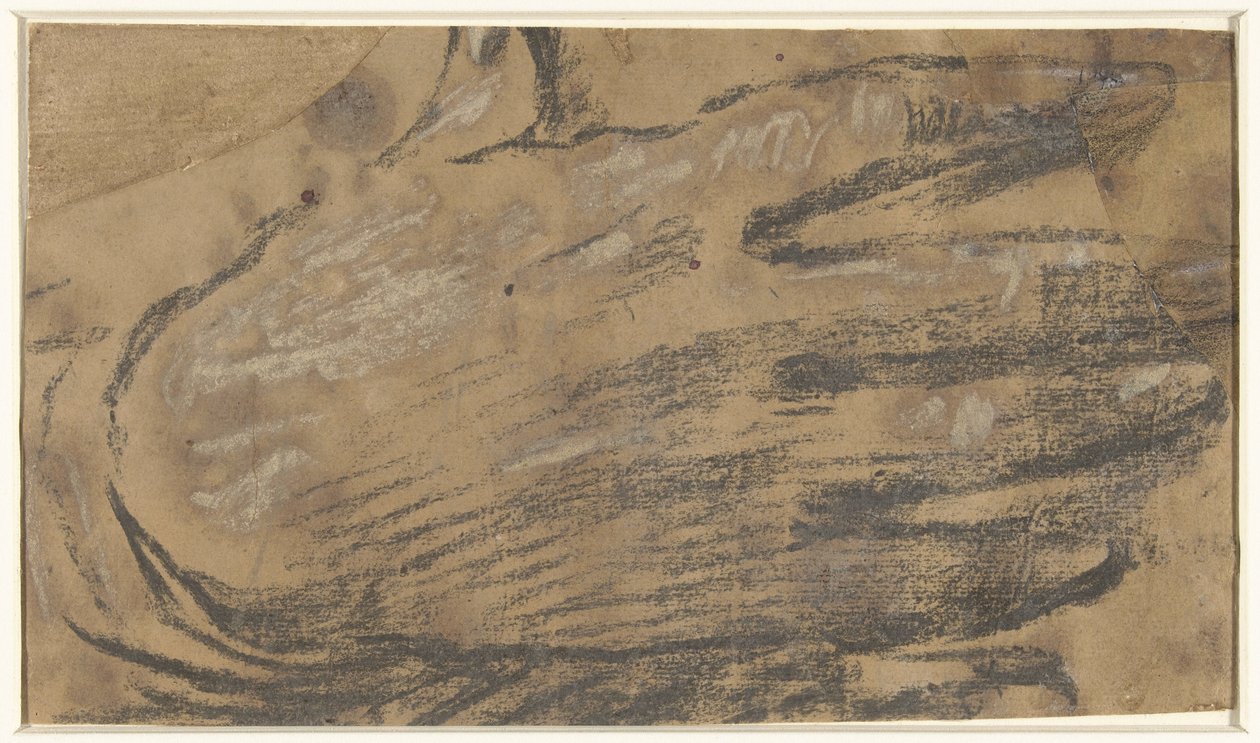 Mano da Giacomo Cavedone
