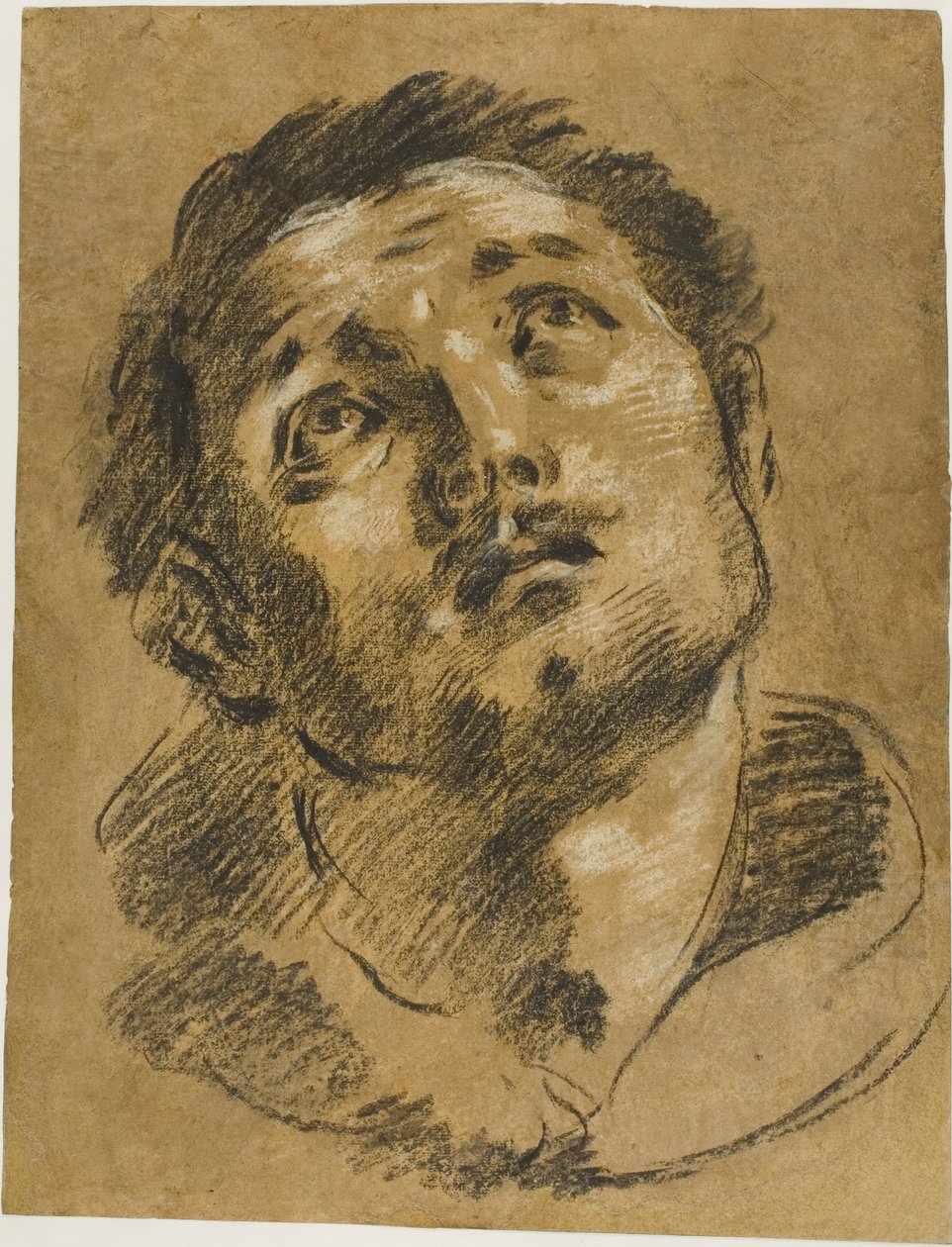 Testa di Santo Stefano: studio per il martirio di Santo Stefano da Giacomo Cavedone
