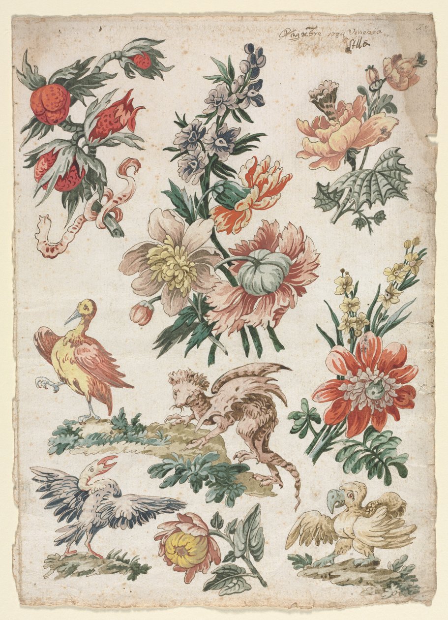Disegni floreali con uccelli e grifone da Giacomo Cavenezia