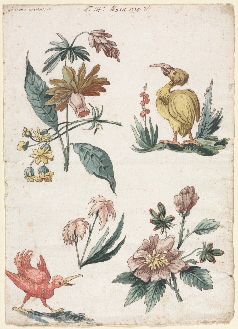 Disegni floreali con due uccelli da Giacomo Cavenezia