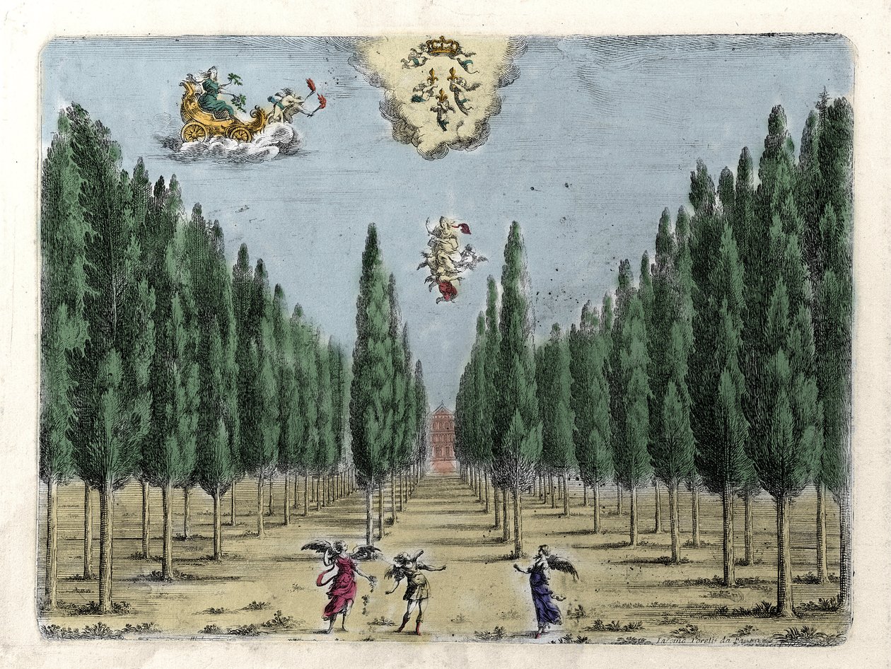 Illustrazione per l