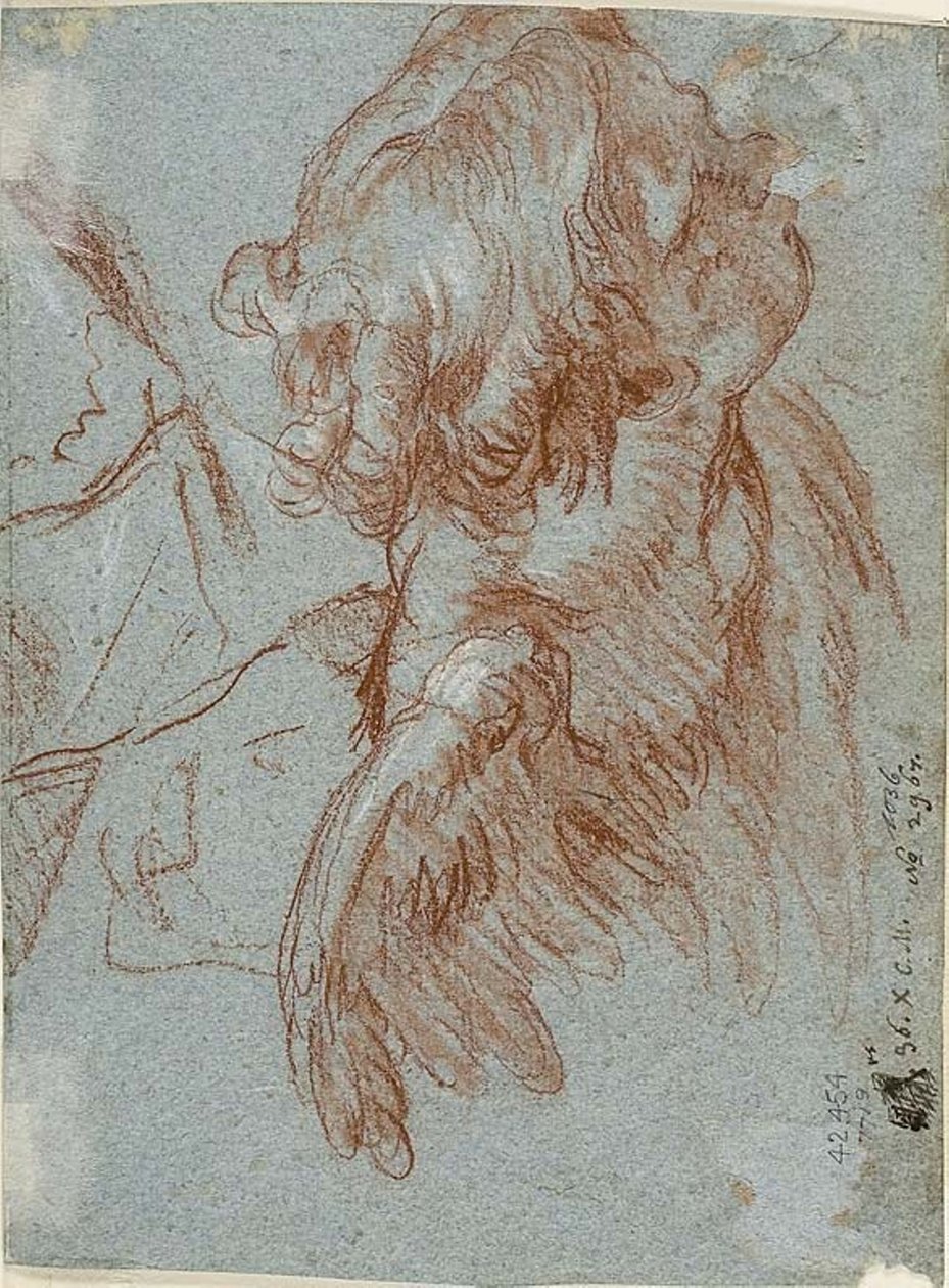 Studio per dettaglio: Testa di un cherubino da Giambattista Tiepolo