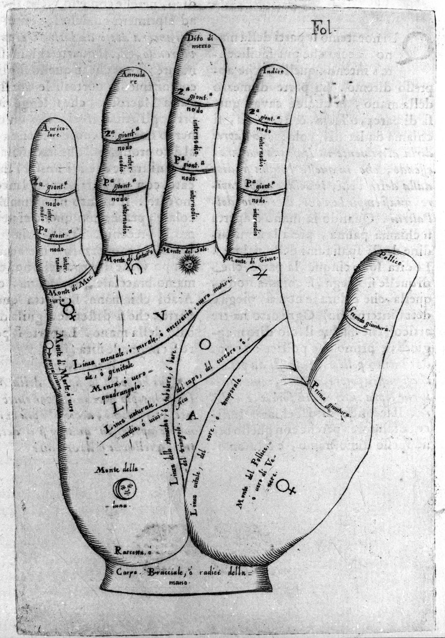 Chiromanzia e predizione divinatoria: rappresentazione delle diverse linee della mano che permettono l
