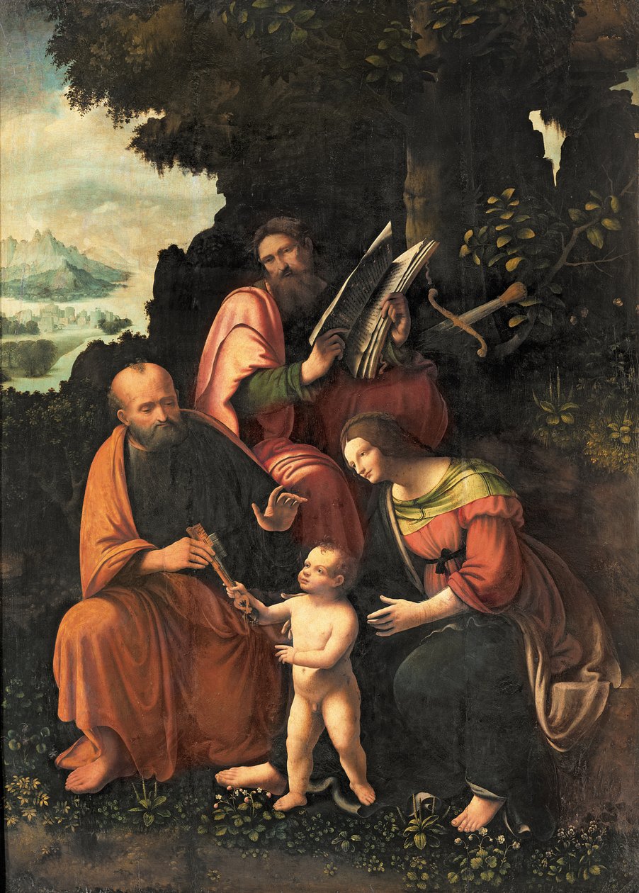 La Vergine e il Bambino con SS. Pietro e Paolo da Gian Giacomo Caprotti