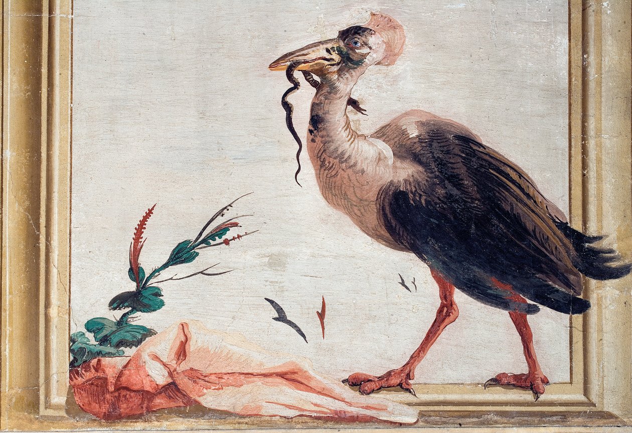 Un Casuario con un Serpente nel Becco, dalla Stanza Cinese nella Foresteria, 1757 da Giovanni Domenico Tiepolo