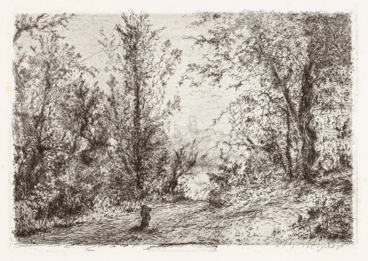 Foresta sul Lago Maggiore da Giberto Borromeo