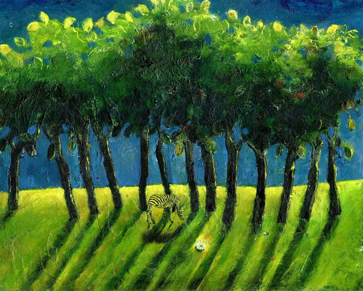 Alberi Zebra, 2005 da Gigi Sudbury