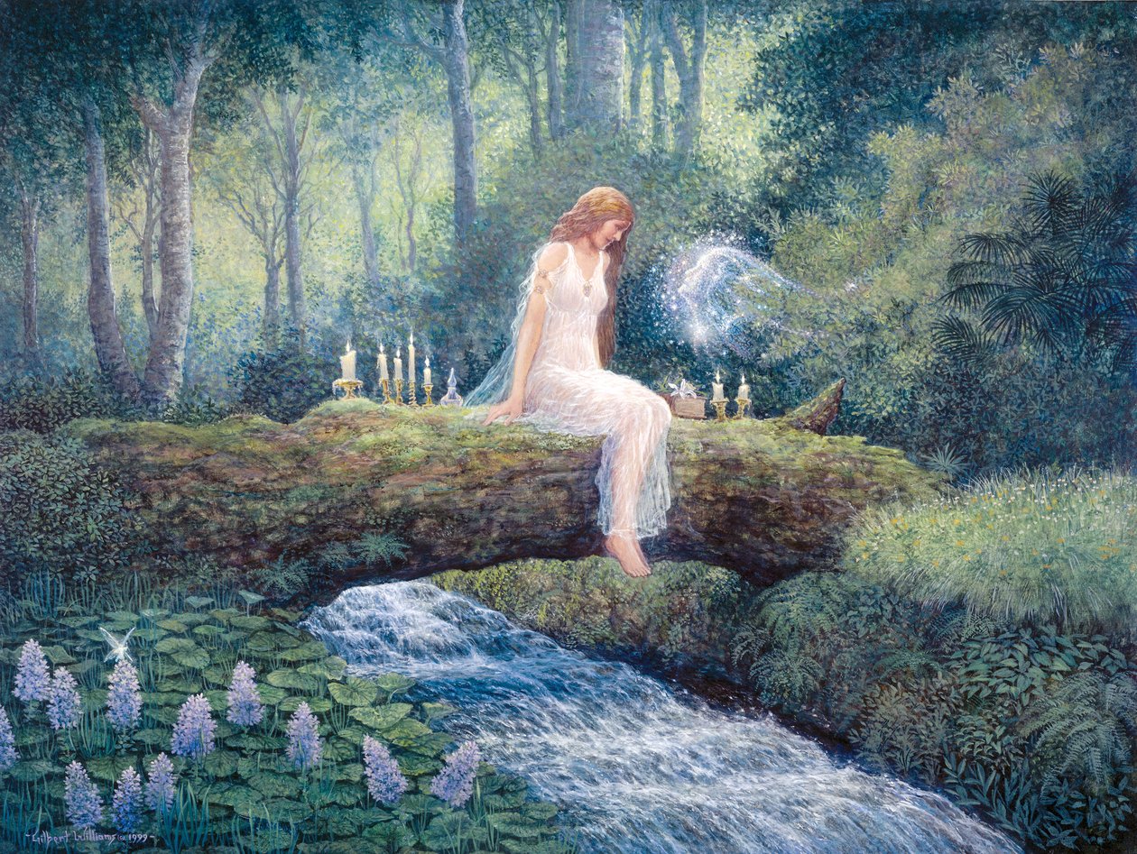 Spiriti affini da Gilbert Williams