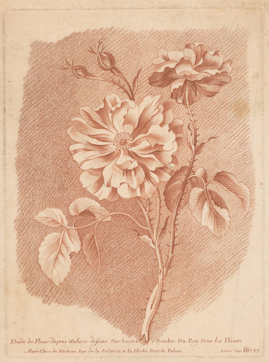 Fiori da Gilles Demarteau