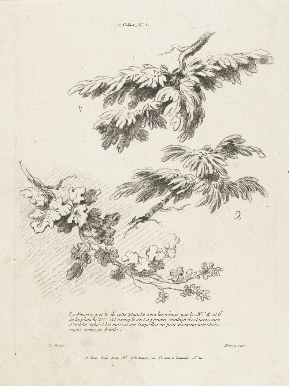 Studio di tre rami con foglie (1er Cahier de paysage) da Gilles Demarteau