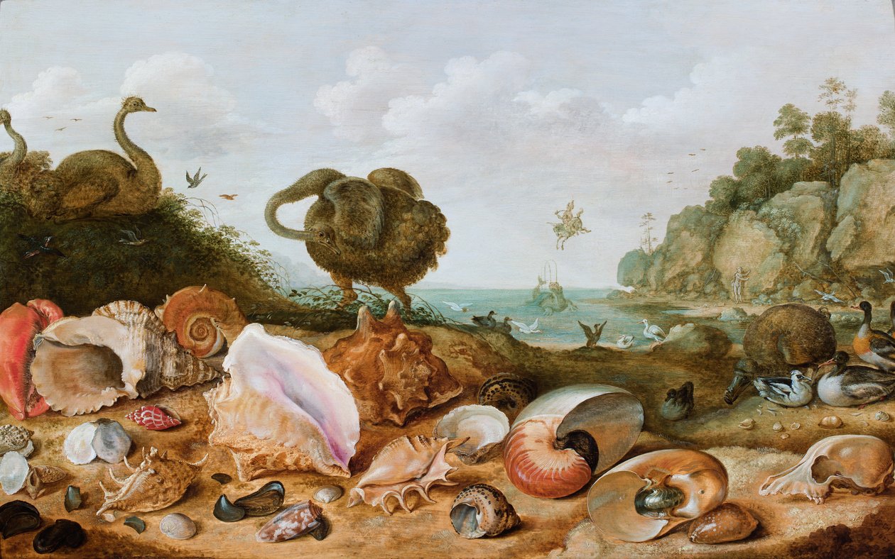 Conchiglie e uccelli, tra cui un dodo, in riva al mare, Perseo che salva Andromeda sullo sfondo da Gillis Claesz d